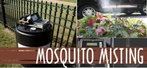 Mosquito repellents on garden