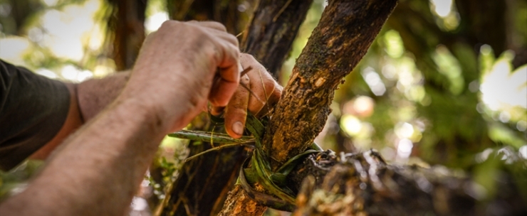Why You Should Enroll For A Survival School Online